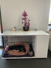 An Omlet Fido Studio dog crate with some plants on the top.