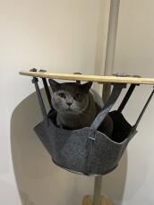 A grey cat sitting in the basket of his indoor cat tree