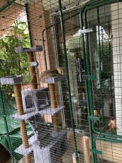 Omlet catio with cat tree and cat in it