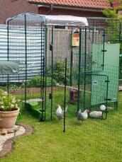 A walk in run with chickens inside and chicken fencing and feeders