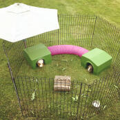 Two guinea pig shelters connected by a rabbit tunnel.