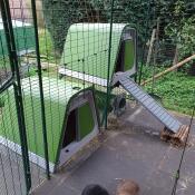 Nice cages and easy to clean 