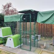 Nice cages and easy to clean 