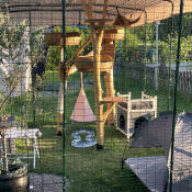 Interior cat cage.