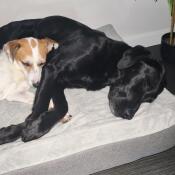 Ah this is cosy!