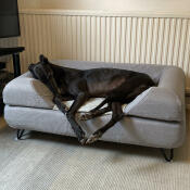 A greyhound dog taking a nap on his grey bed with bolster