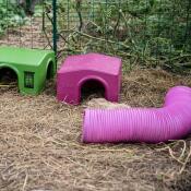 Guinea pig tubes/tunnels