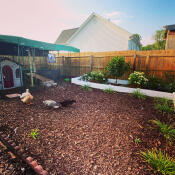 Welcome to duckingham palace.