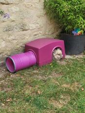 Her favourite spot in the garden! thank you Omlet!