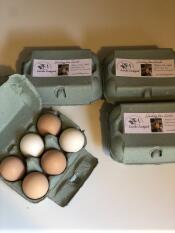 Eggs in egg cartons