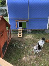 Omlet green automatic chicken coop door connected to run