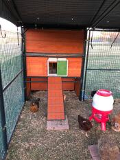 15 minute install - best automatic chicken coop door ever!!