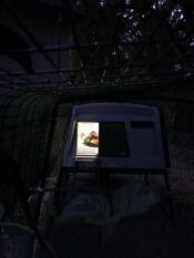 Chicken inside a Cube coop with a light on at night
