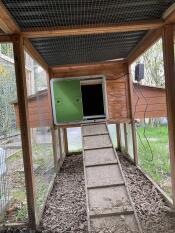 Chicken flap on the wooden coop