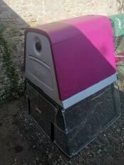 A purple Eglu Go up chicken coop in a garden