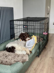 Love these beds