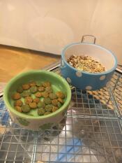 Gerbil food