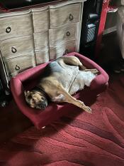 Sooo comfy!