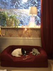 Little heart sleeps so safely in his nice bed, in it he will grow and become big ????????