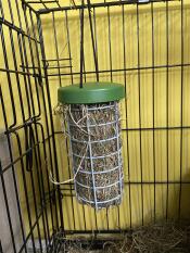 Hay in a Caddi feeder inside a rabbit run