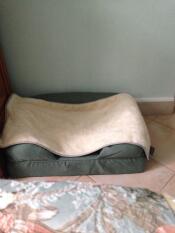 Omlet memory foam bolster bed and soft blanket