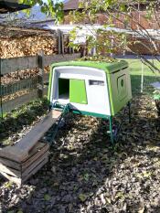 Omlet green Eglu Cube large chicken coop