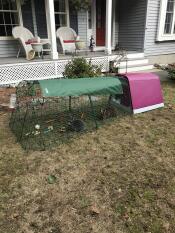 Omlet purple Eglu Go rabbit hutch and run