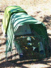 A green Go hutch with a run attached and covers over the top with guinea pigs inside