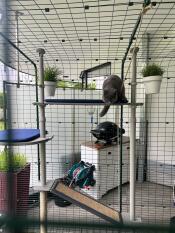 A great playground and a nice place to rest too😻😻