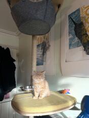 Hamish catching some winter sun 