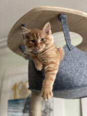 Hamish’s favourite spot 
