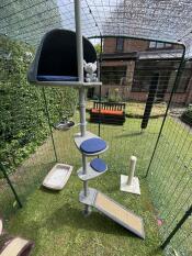 An outdoor cat tree installed inside a catio