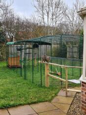 My giant catio