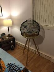 Geo bird budgie cage in a living room