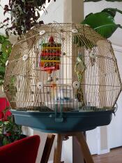 Omlet Geo bird cage with Gold cage, teal base and legs