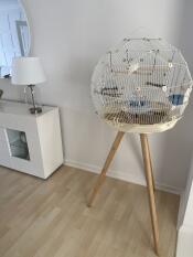 Stunning cage, gucci my canary loves it!