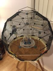 Omlet Geo bird cage with black cage, cream base and legs