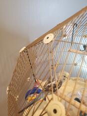 The Omlet Geo bird cage is a wonderful shape.