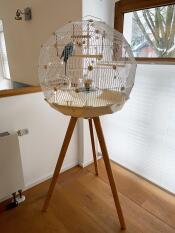 Omlet Geo bird cage with white cage, cream base and tall legs