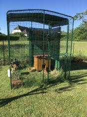 Omlet catio in garden