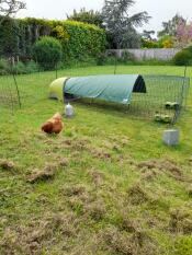 It's a great thing to have on the run to protect your chickens from the rain and sun.