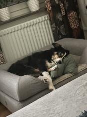 Hjördis' favourite bed