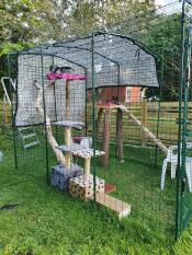 Cats in Omlet catio