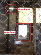 Coop light and Autodoor