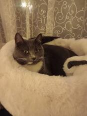 Lulu loves her sheepskin