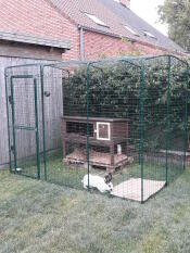 Omlet walk in rabbit run with wooden hutch and rabbit