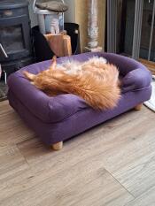 A cat sleeping in the purple bolster cat bed.