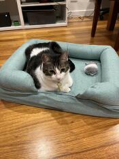 Luna loves her new bed