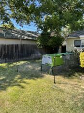 Chicken fencing surrounding a green chicken coop in a garden