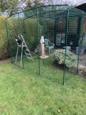 Cats loving their catio 